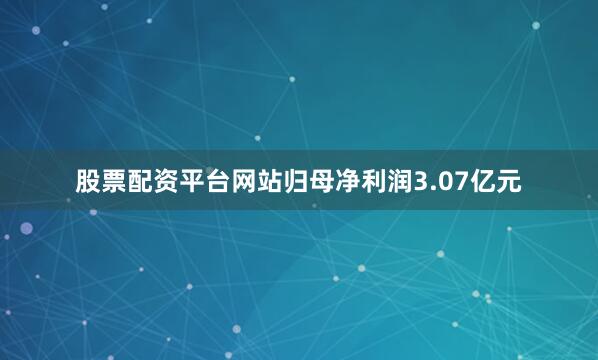 股票配资平台网站归母净利润3.07亿元